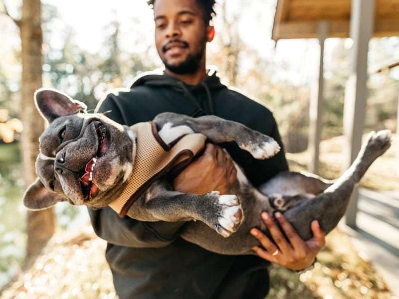 playing with pets