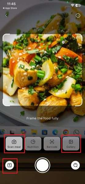 pick option to scan food
