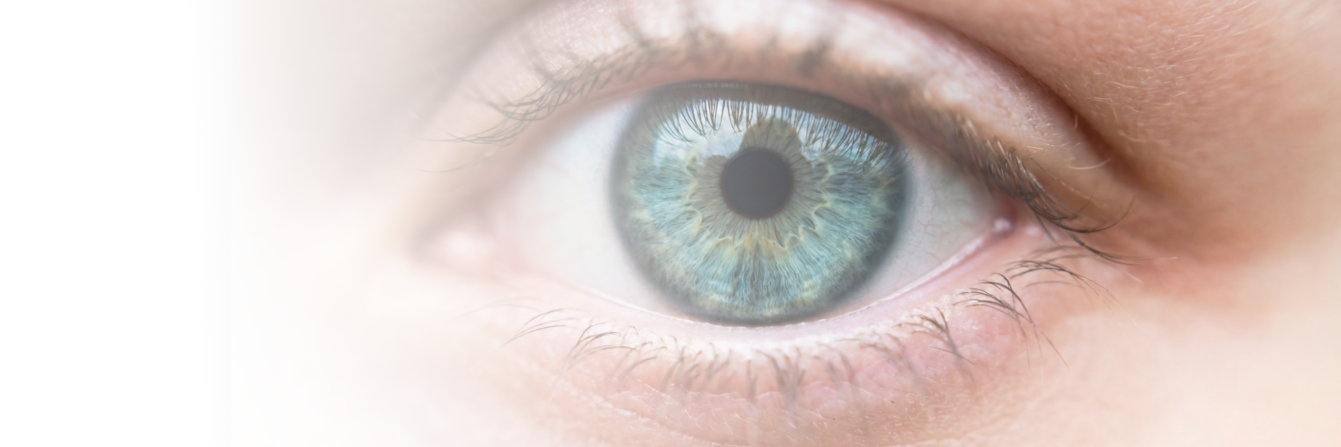 Nova Eye Medical Streamlined PDF Workflows with PDFelement