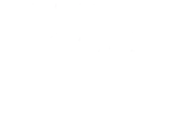 explore toous that elevate your videos