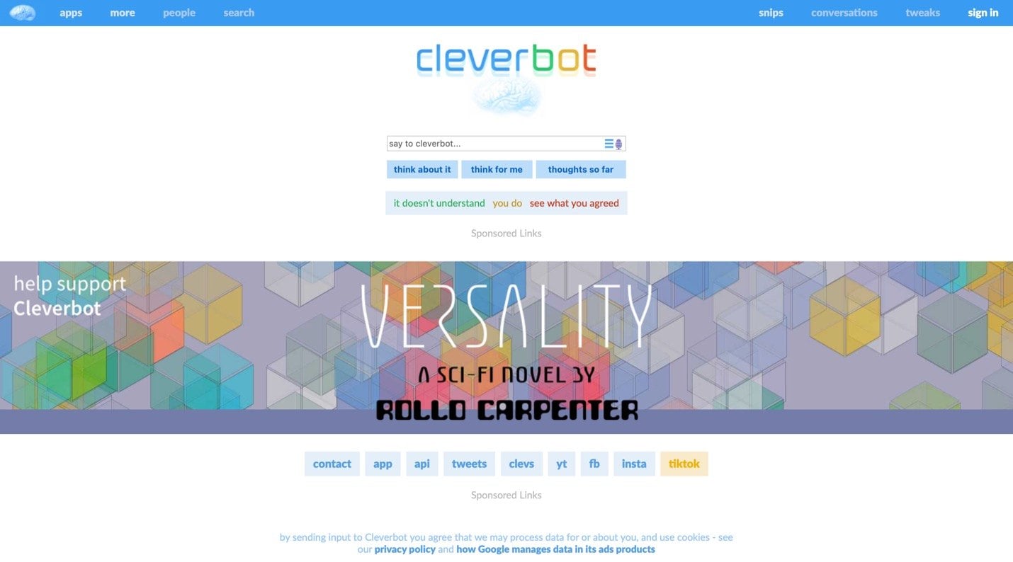 cleverbot interface