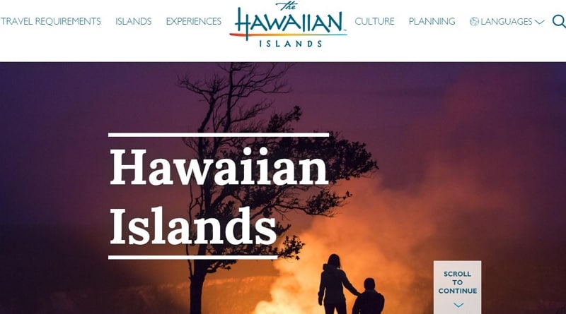 travel agency website design