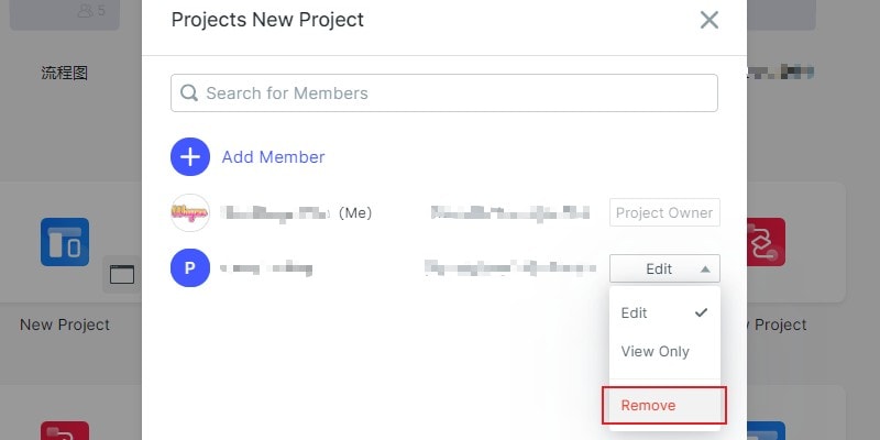 remove member on the project management page