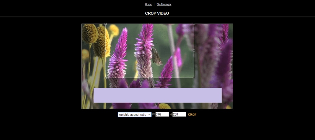 crop video online without watermark