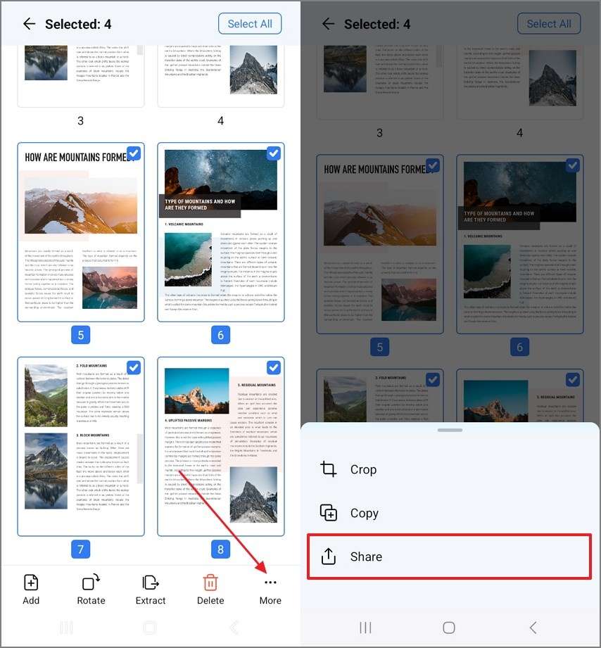 organize pages pdf share