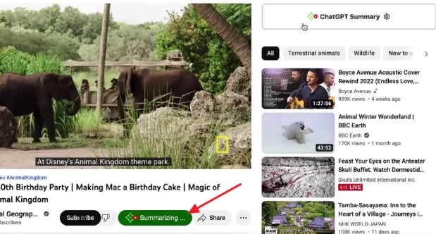 youtubedigest summarize button youtube
