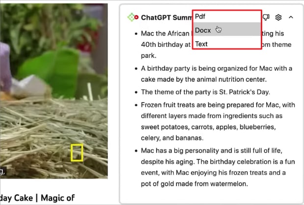 summary download options appear beside video