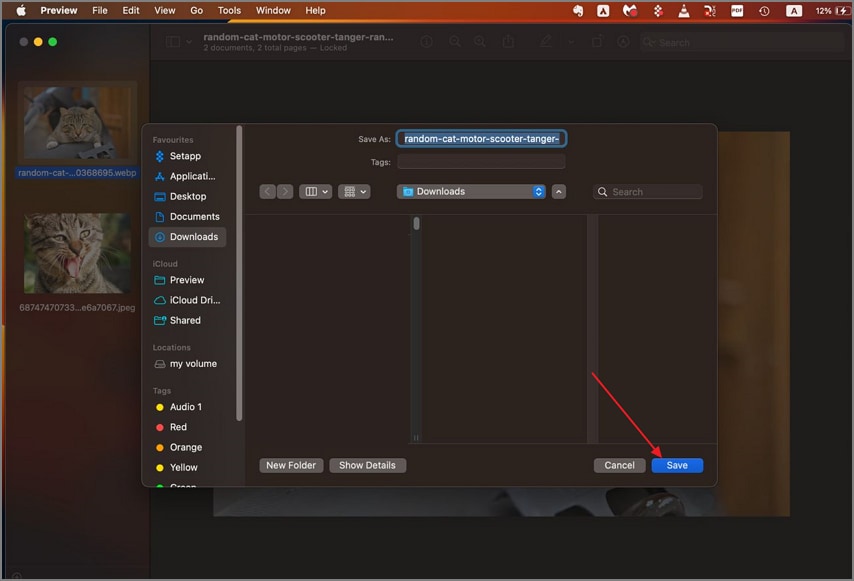 save heic as pdf preview