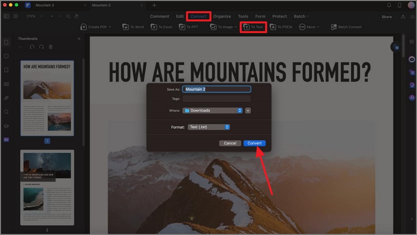 convert pdf file to text format