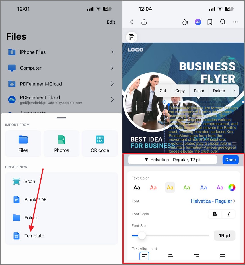 paste summary in pdf template
