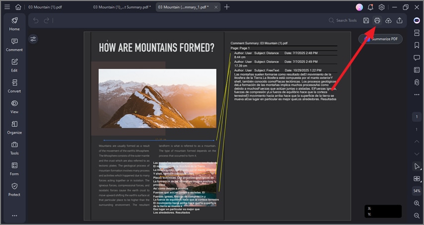 preview summary and print