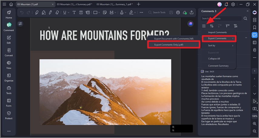 choose export comment function