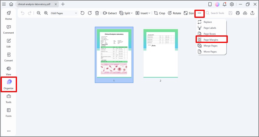 click page margin in the organize tab