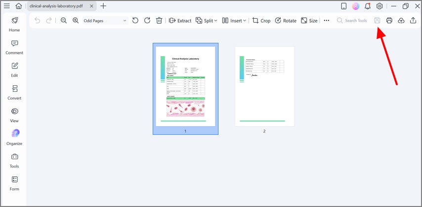 click the save button to render files
