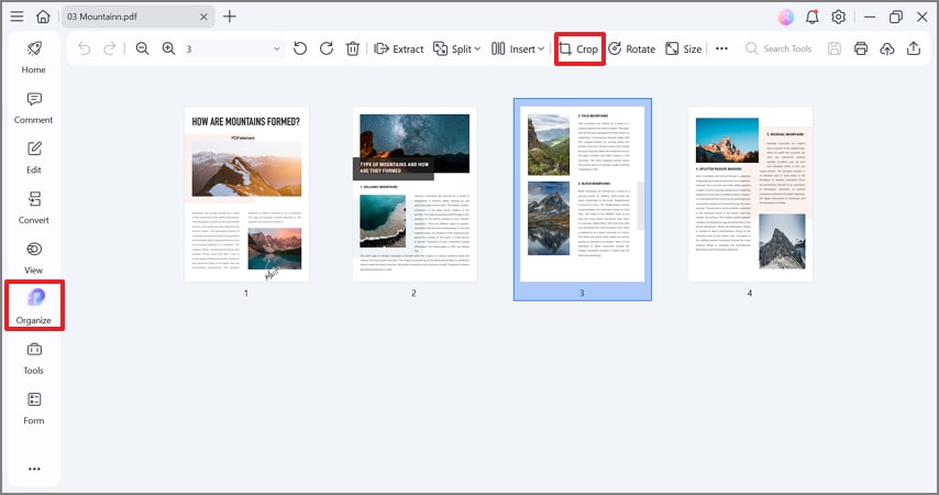 click crop in organize tab