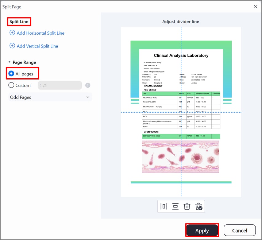 choose all pages, page range