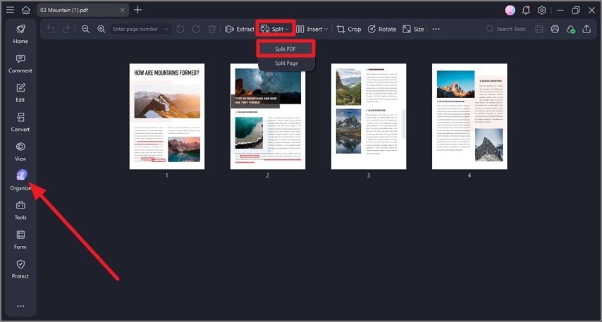 open pdf press organize