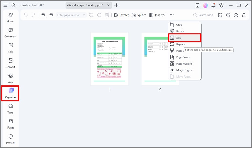 click size option in drop-down menu