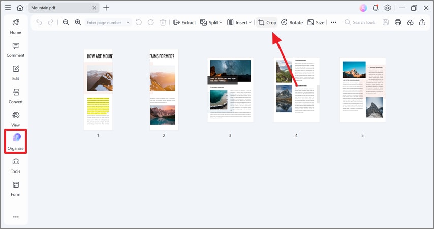access crop button in organize mode