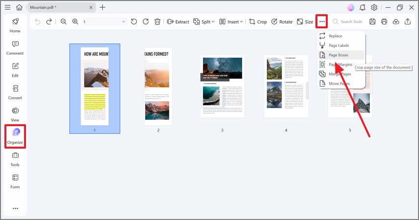 select page boxes option from organize mode