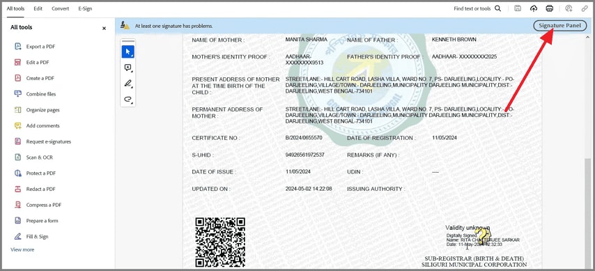 choose the signature panel