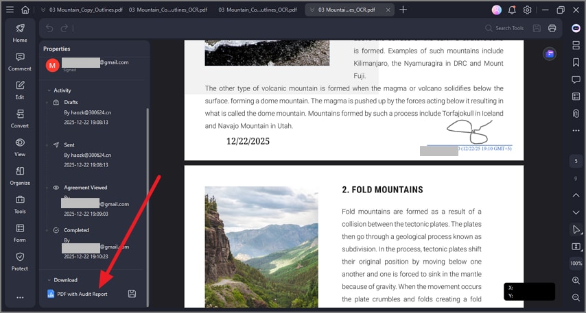 download audit report for document