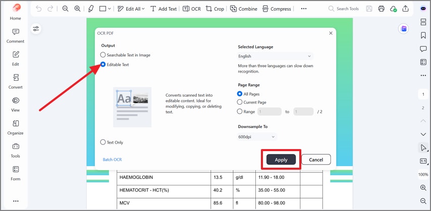 choose editable text and press apply