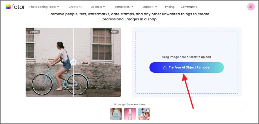 access fotor object remover