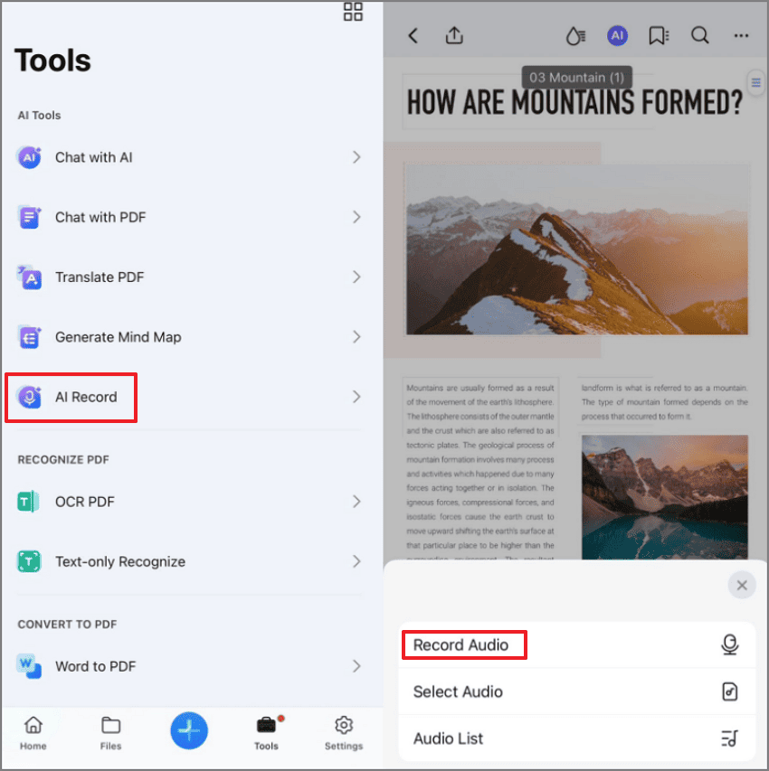 select the record audio option