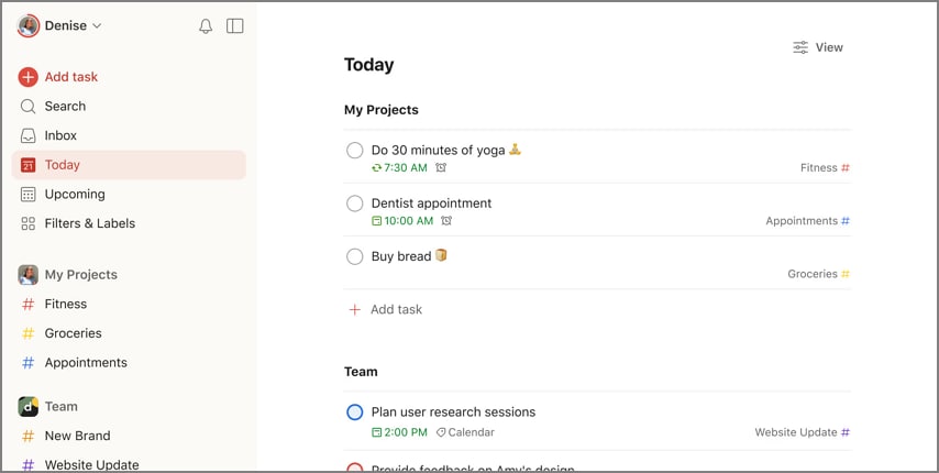 todoist pdf planner maker