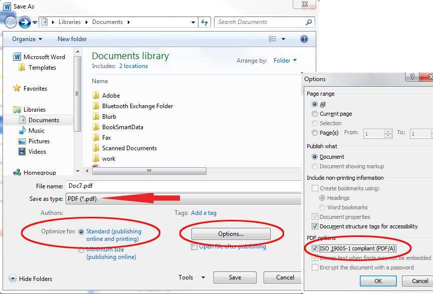 open pdf options