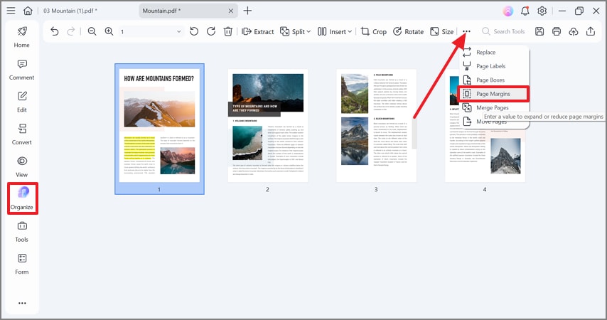 set page margins from organize mode
