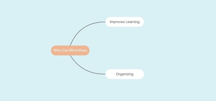 Comienza a ramificar tu mapa mental de acuerdo con tu ensayo.