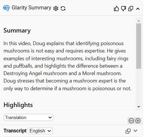 video summary chrome extension