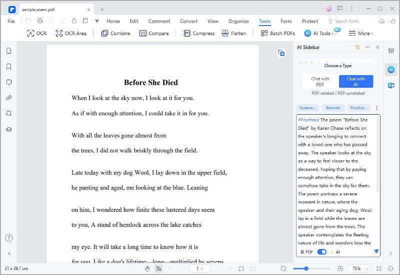 how to write a summary of a poem ai
