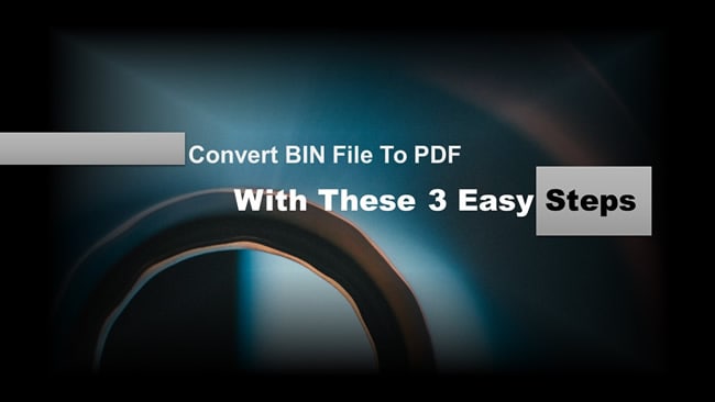 convert bin to pdf
