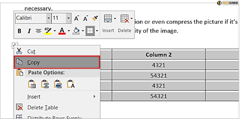 copy table in word