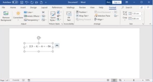 Screenshot PDF and Insert into Word
