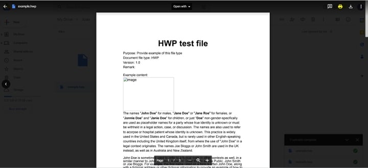 print hwp option on google drive