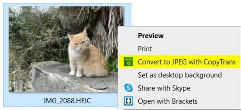 abrir archivos HEIC en Windows