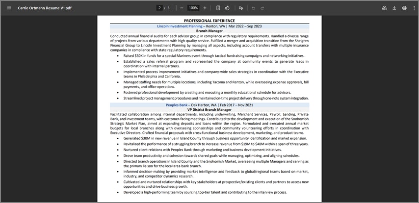 revisar el currículum convertido a PDF
