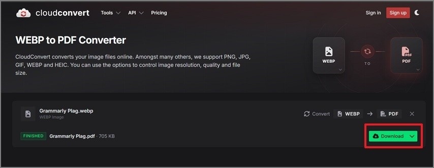 download converted pdf interface