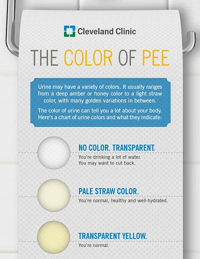 urine color chart 1