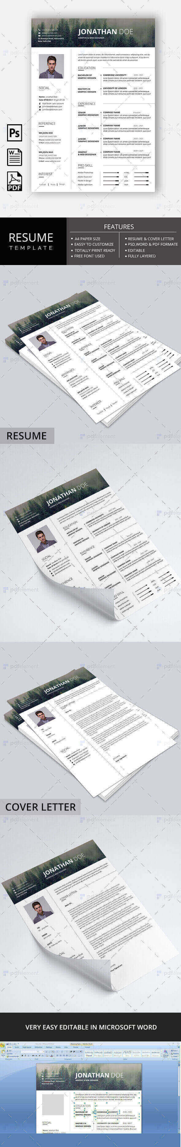 Resume Template - Fog Forest