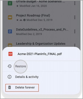 delete pdf from google drive from iphone forever