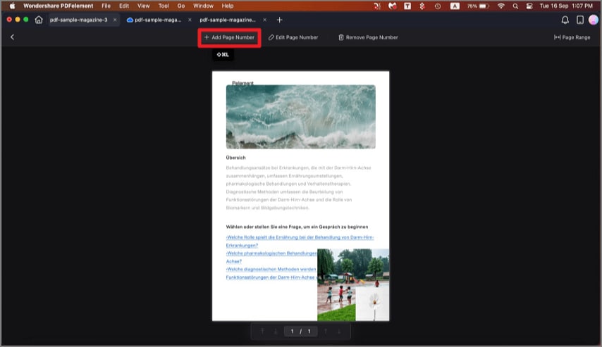 add page number