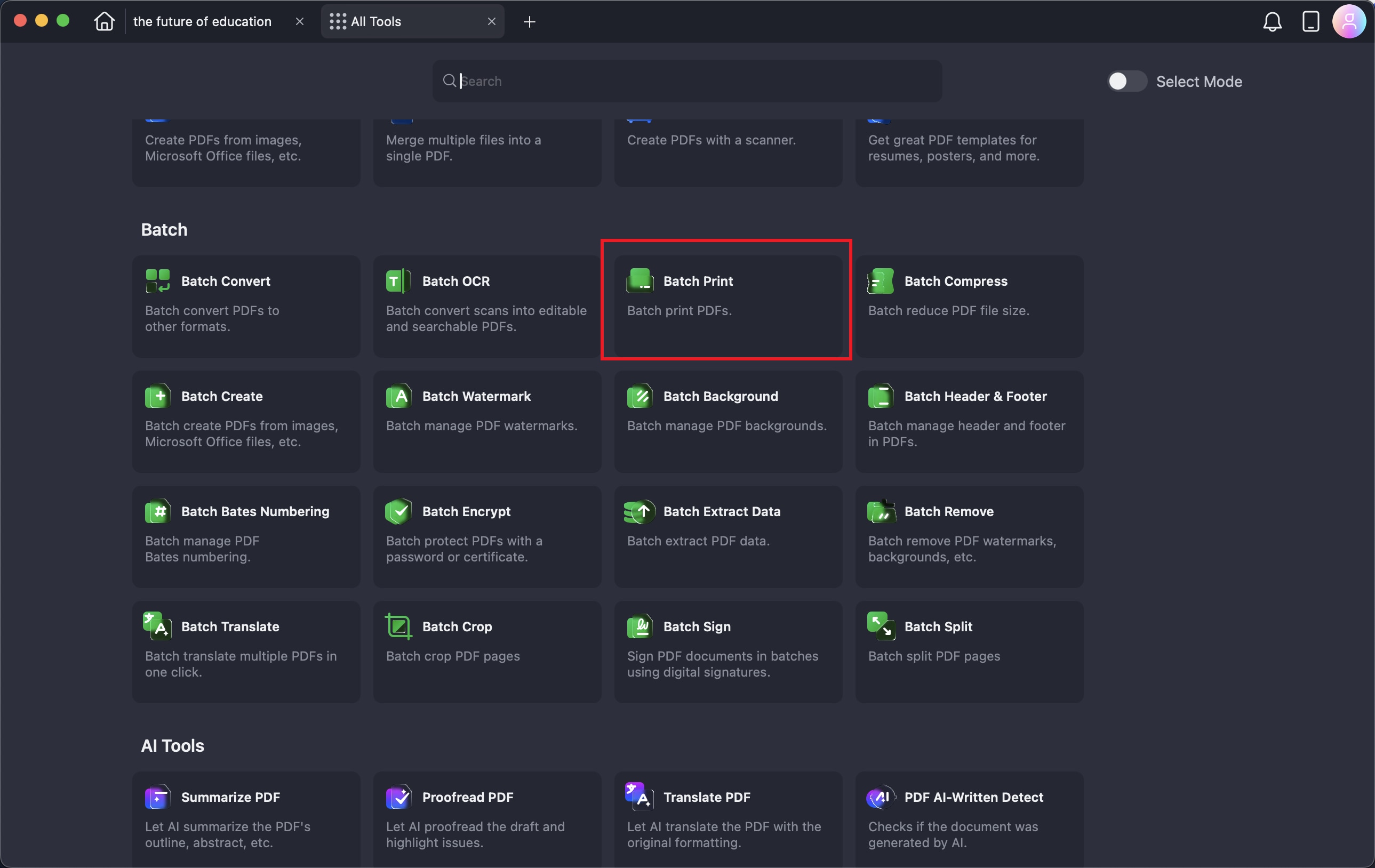 A screenshot of the batch print interface.