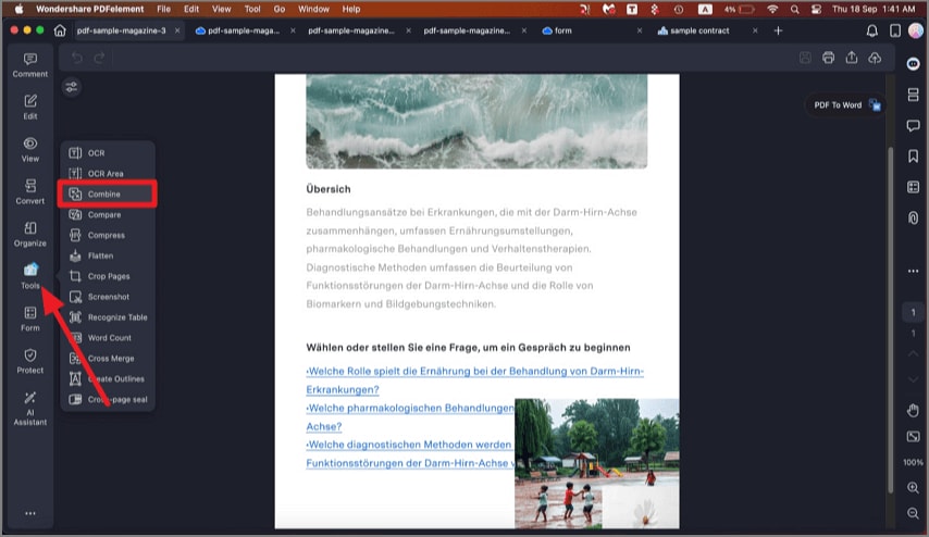 merge PDF