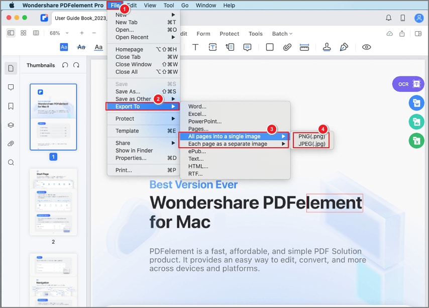 insert pdf into word as an image