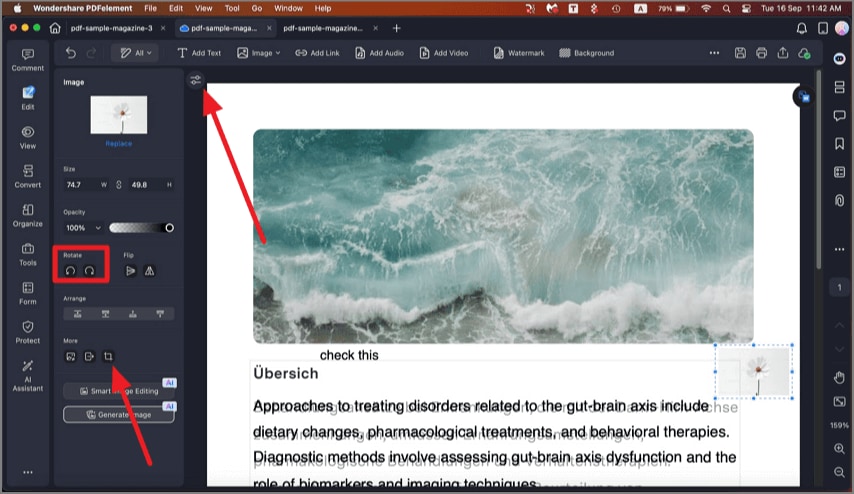 crop image in PDF